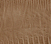 Camel American Lizard Swatch