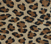 Leopard Leather Swatch